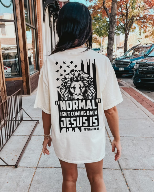 NORMAL ISN'T COMING BACK - TEE